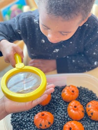 a child looking at pumpkins with a magnifying glass